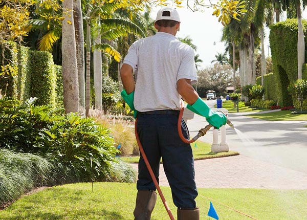 About Dunbar KY Pest Control